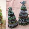 Árvore de Natal com Suculentas