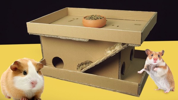 Ideias criativas de casinha para hamster