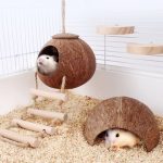 Ideias criativas de casinha para hamster